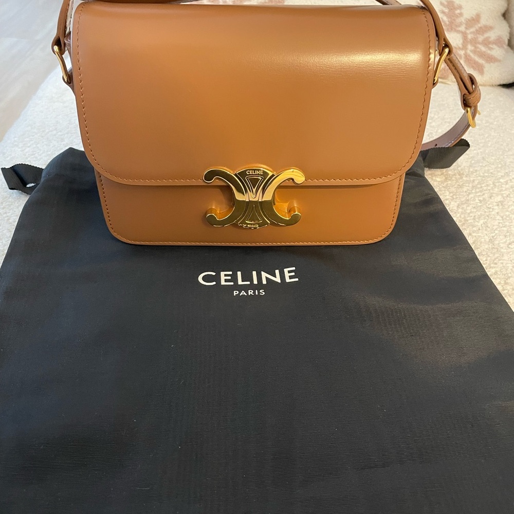 CELINE Triomphe Teen shiny calfskin leather in Bronze w/GHW